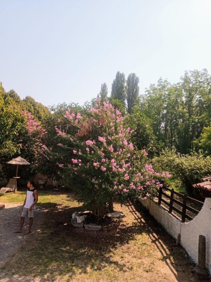 La Dama Con L'Ermellino B&B San Giovanni in Croce ภายนอก รูปภาพ