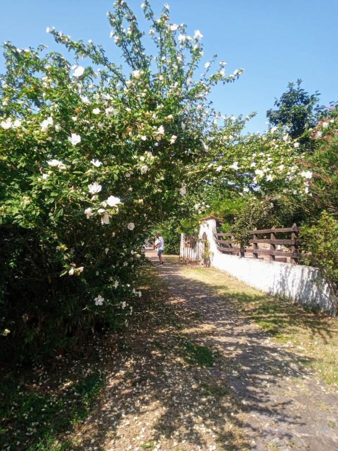 La Dama Con L'Ermellino B&B San Giovanni in Croce ภายนอก รูปภาพ